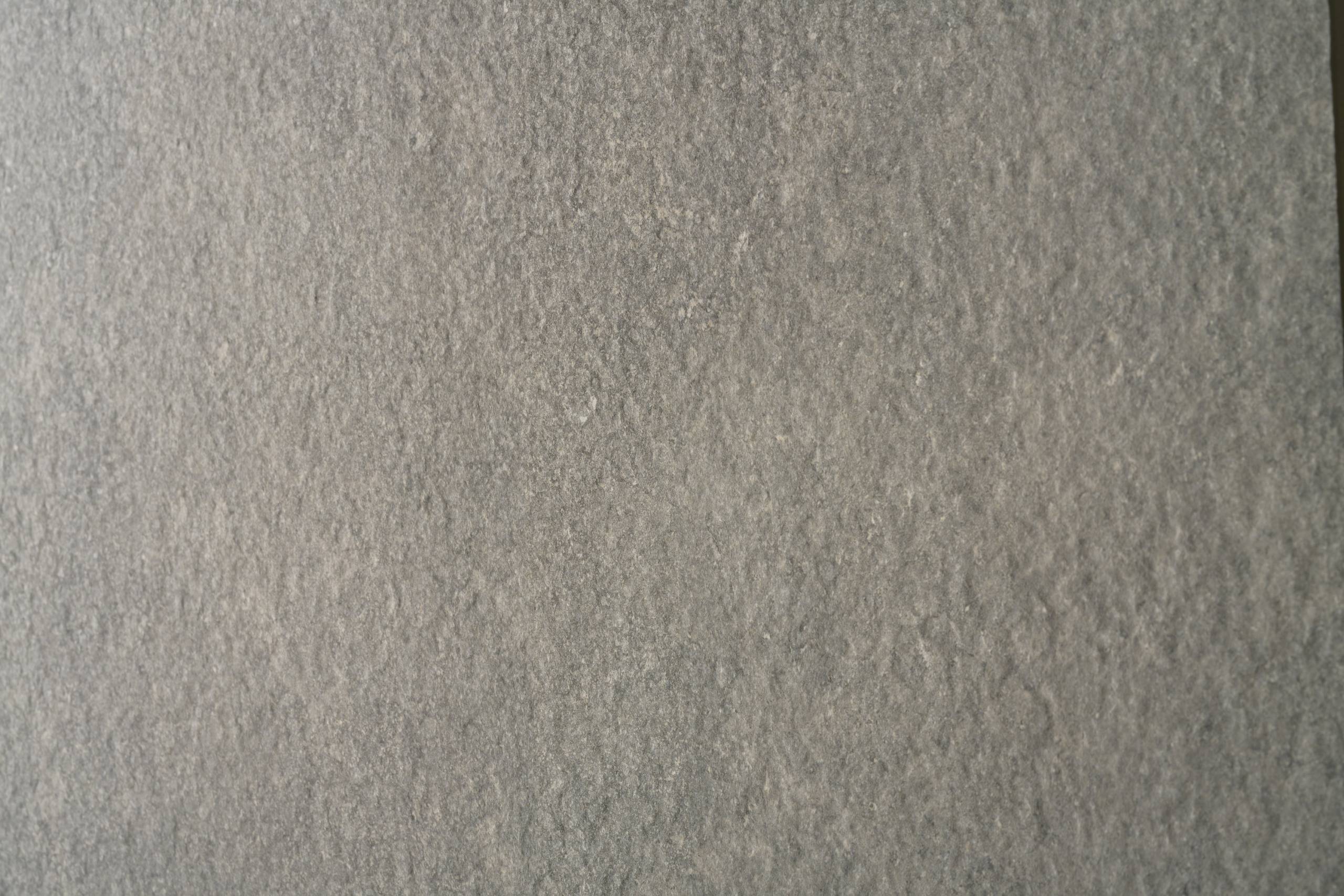 ROCHE BLEUE